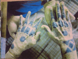 img5.gif